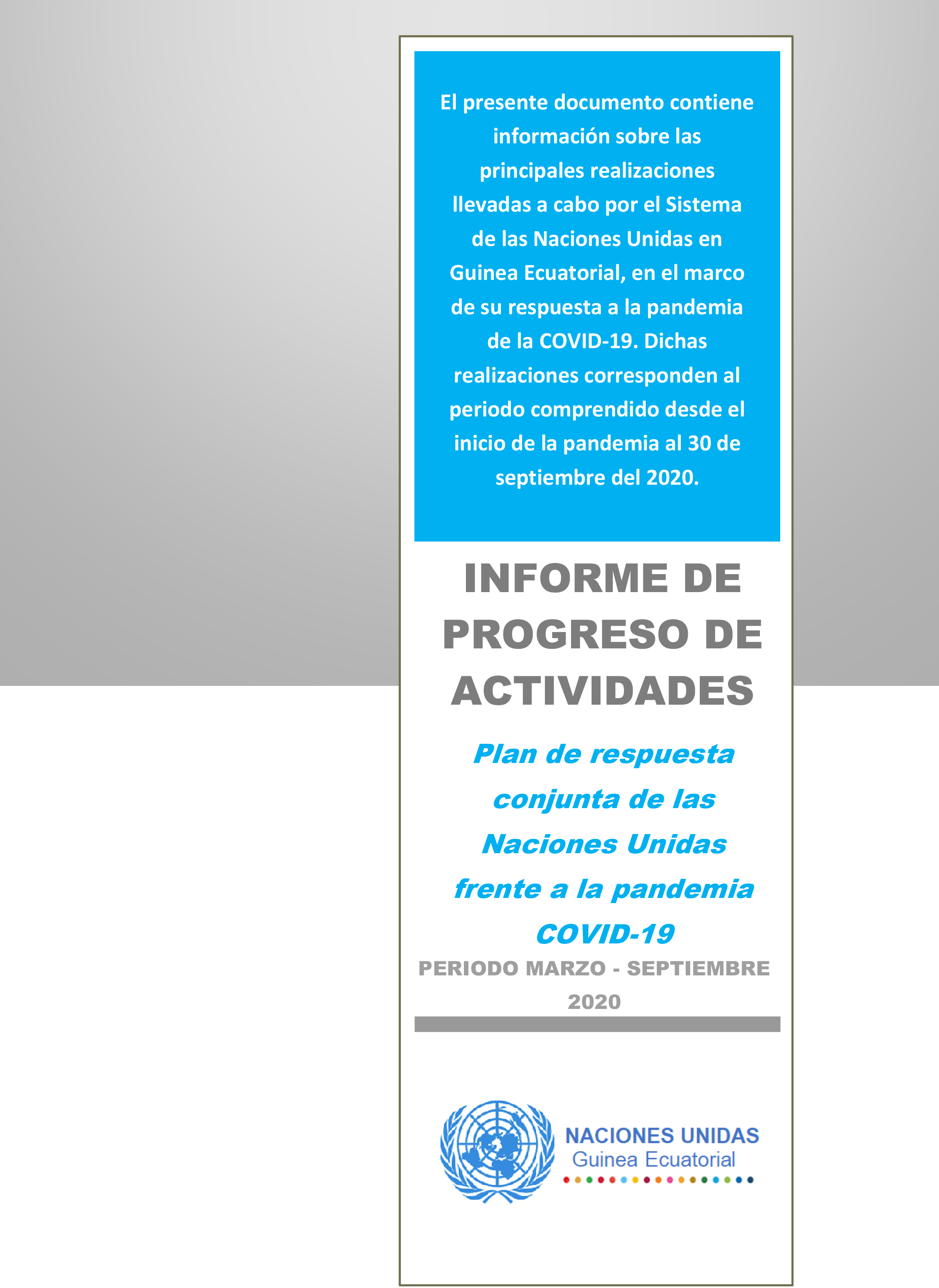 Informe de progreso de actividades del Plan de Respuesta  Conjunta de las  Naciones Unidas  frente a la pandemia  COVID-19