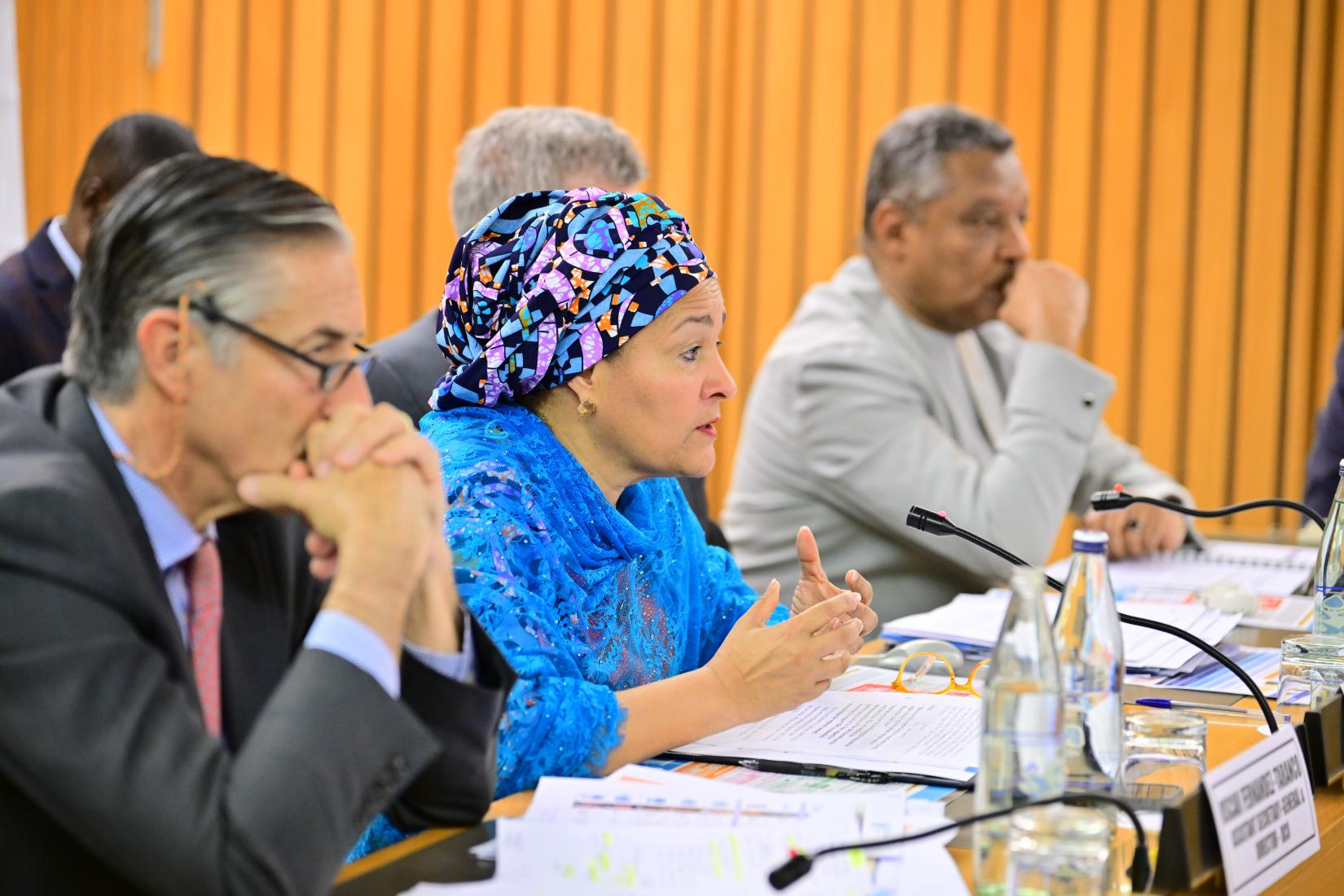 Imagen de la Vicesecretaria dirigiendo la reunión
