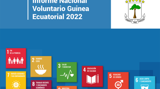 Informe Nacional Voluntario